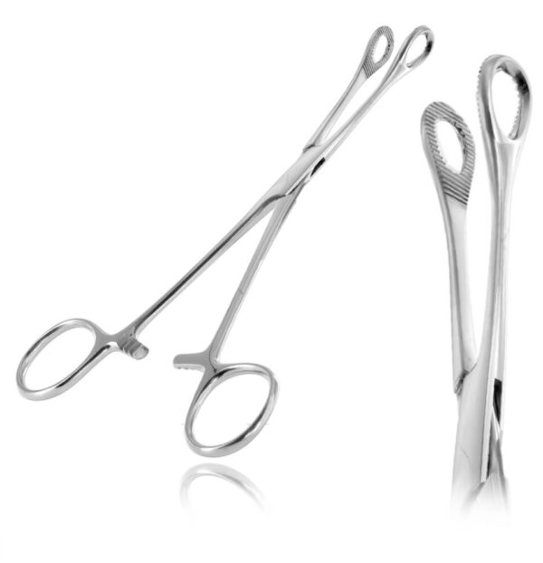 Sponge Forceps Regular 7"