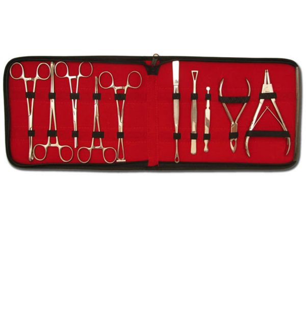 Piercing Tools Kit - 10 Pieces